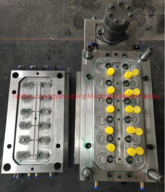 Plastic Flip Top Cap Mould Ready for Ship China Manufacturer